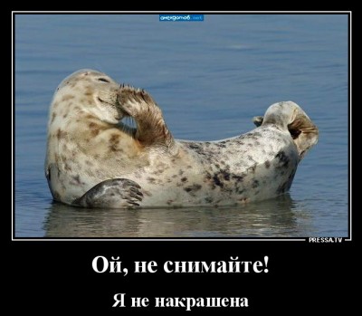 13.jpg (102.1 КБ) 2729 просмотров 13.jpg