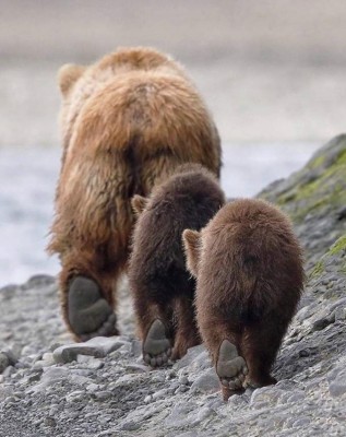 15.jpg (122.38 КБ) 2728 просмотров 15.jpg