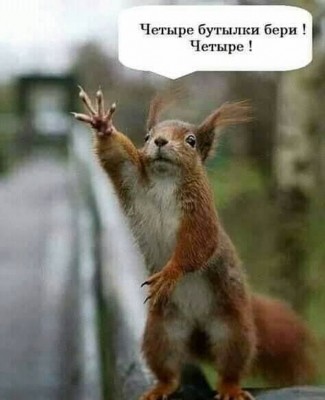 16.jpg (108.99 КБ) 2590 просмотров 16.jpg