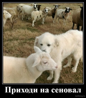 11.jpg (105.17 КБ) 2370 просмотров 11.jpg