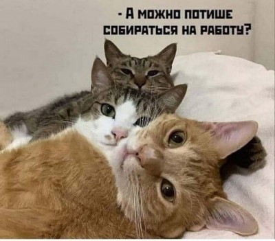 13.jpg (78.15 КБ) 2369 просмотров 13.jpg