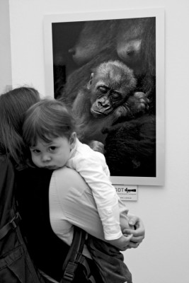 16.jpg (91.11 КБ) 3379 просмотров 16.jpg