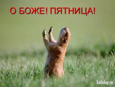 13.jpg (38.62 КБ) 3332 просмотра 13.jpg