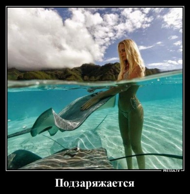 17.jpg (67.05 КБ) 3072 просмотра 17.jpg