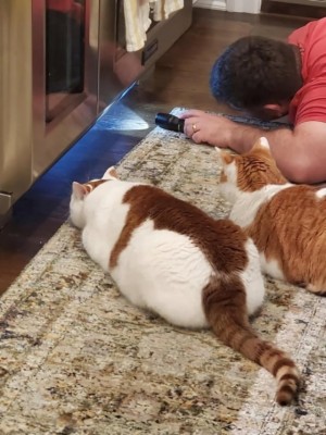 16.jpg (124.21 КБ) 3073 просмотра 16.jpg