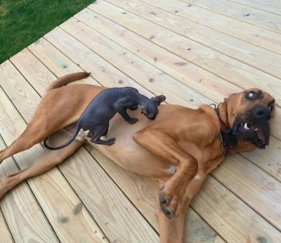 17.jpg (102.33 КБ) 2681 просмотр 17.jpg