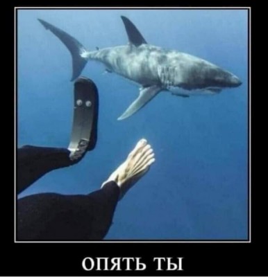 17.jpg (27.13 КБ) 2924 просмотра 17.jpg