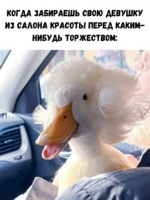 17.jpg (126.67 КБ) 2973 просмотра 17.jpg