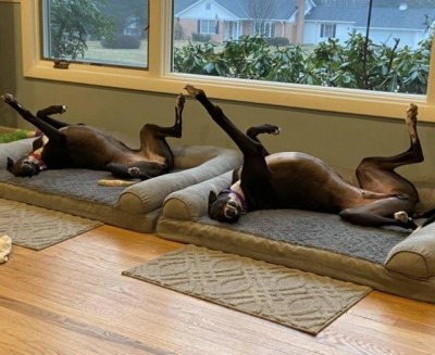 15.jpg (102.52 КБ) 2779 просмотров 15.jpg