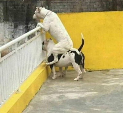 15.jpg (65.87 КБ) 2828 просмотров 15.jpg