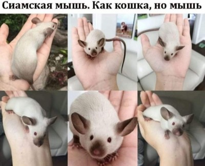 15.jpg (71.82 КБ) 3194 просмотра 15.jpg