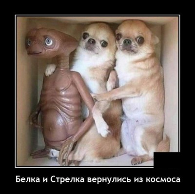 12.jpg (56.33 КБ) 3068 просмотров 12.jpg