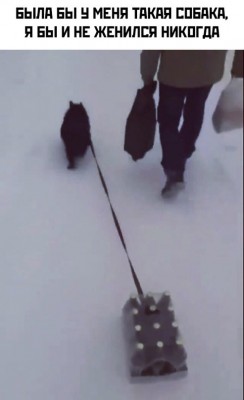 16.jpg (37.26 КБ) 2958 просмотров 16.jpg