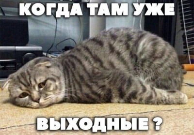 19.jpg (79.18 КБ) 3209 просмотров 19.jpg