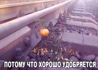 15.jpg (92.71 КБ) 3260 просмотров 15.jpg