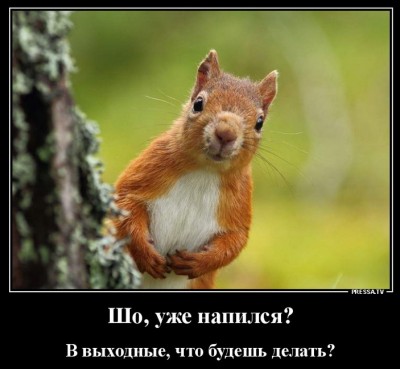 13.jpg (109.82 КБ) 3258 просмотров 13.jpg