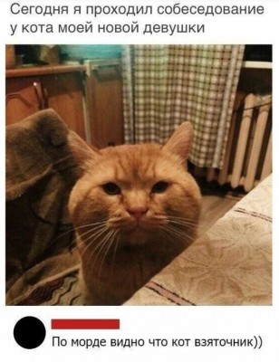 11.jpg (100.19 КБ) 2889 просмотров 11.jpg