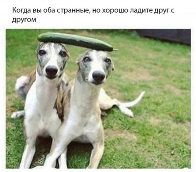 13.jpg (74.64 КБ) 3307 просмотров 13.jpg