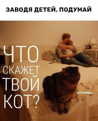 19.jpg (63.31 КБ) 3313 просмотров 19.jpg