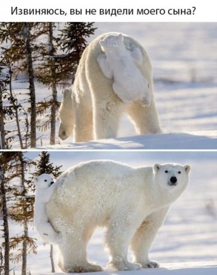 14.jpg (74.03 КБ) 3268 просмотров 14.jpg