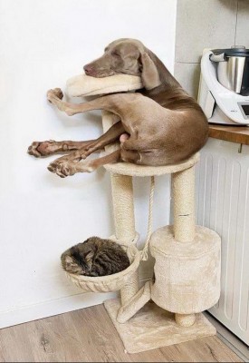 11.jpg (93.76 КБ) 3115 просмотров 11.jpg