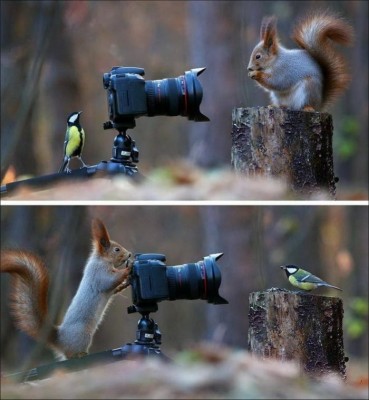 13.jpg (64.84 КБ) 3028 просмотров 13.jpg