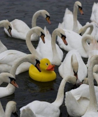 11.jpg (42.72 КБ) 2969 просмотров 11.jpg