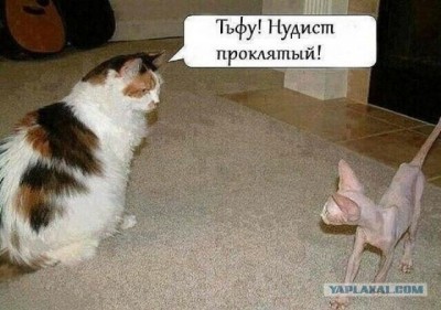 15.jpg (78.04 КБ) 2932 просмотра 15.jpg