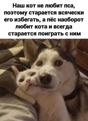 15.jpg (99.71 КБ) 2817 просмотров 15.jpg