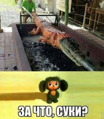 11.jpg (104.67 КБ) 2942 просмотра 11.jpg