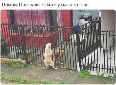 15.jpg (87.25 КБ) 2753 просмотра 15.jpg