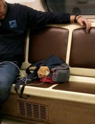 12.jpg (68.77 КБ) 2483 просмотра 12.jpg