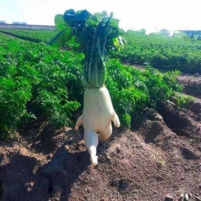 12.jpg (68.19 КБ) 3084 просмотра 12.jpg