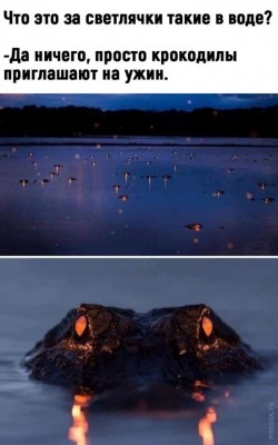 14.jpg (91.06 КБ) 3034 просмотра 14.jpg