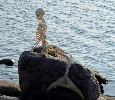 11.jpg (113.34 КБ) 3120 просмотров 11.jpg