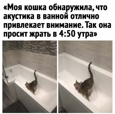 13.jpg (89.82 КБ) 3068 просмотров 13.jpg