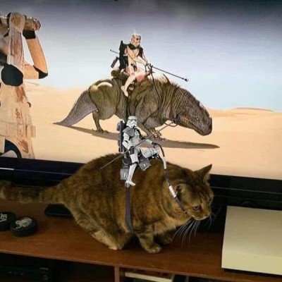 11.jpg (73.87 КБ) 3019 просмотров 11.jpg