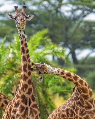 13.jpeg (93.51 КБ) 2828 просмотров 13.jpeg