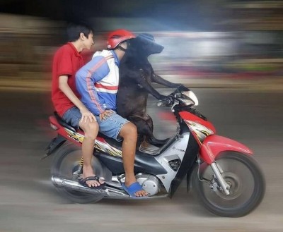 15.jpg (115.93 КБ) 3409 просмотров 15.jpg