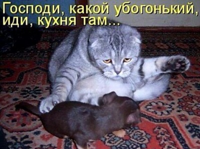 20.jpg (110.22 КБ) 3205 просмотров 20.jpg