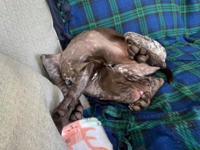 13.jpg (112.24 КБ) 3058 просмотров 13.jpg