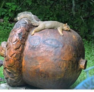 11.jpeg (102.32 КБ) 3159 просмотров 11.jpeg