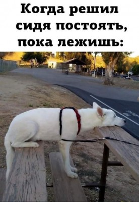 13.jpg (111.14 КБ) 3100 просмотров 13.jpg