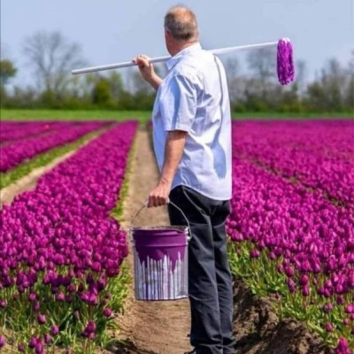 13.jpg (54.58 КБ) 2995 просмотров 13.jpg