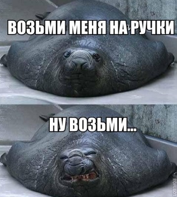 17.jpg (86.6 КБ) 2695 просмотров 17.jpg