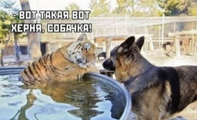 16.jpg (93.51 КБ) 2617 просмотров 16.jpg