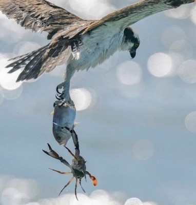 13.jpg (106.59 КБ) 3716 просмотров 13.jpg