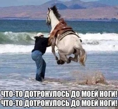 12.jpg (80.75 КБ) 3650 просмотров 12.jpg