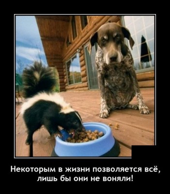 11.jpg (85.41 КБ) 3650 просмотров 11.jpg