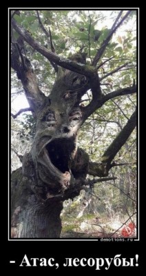 14.jpg (107.27 КБ) 3519 просмотров 14.jpg